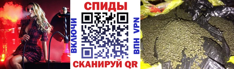 купить   Электрогорск  БУТИРАТ BDO 