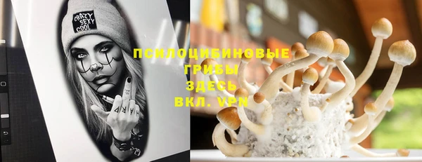 MESCALINE Алзамай