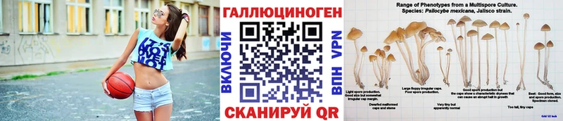 наркотики  Электрогорск  Галлюциногенные грибы GOLDEN TEACHER 